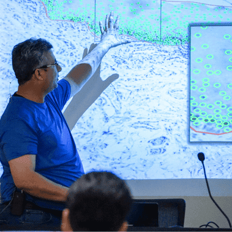  Doctoral Meeting: 'Cell detection in biomedical immunohistochemical images'