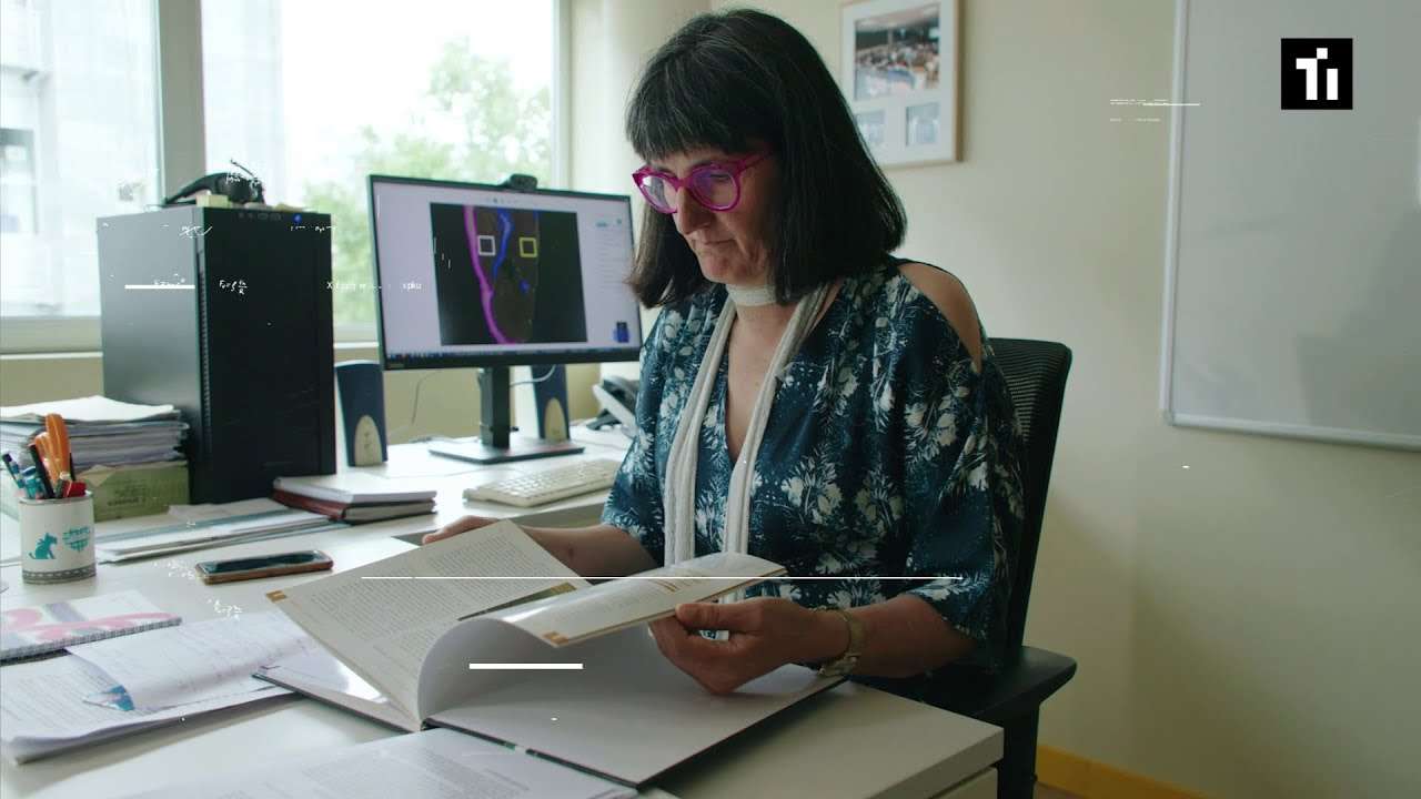 Marbling Predictor: the digital tasting of ham