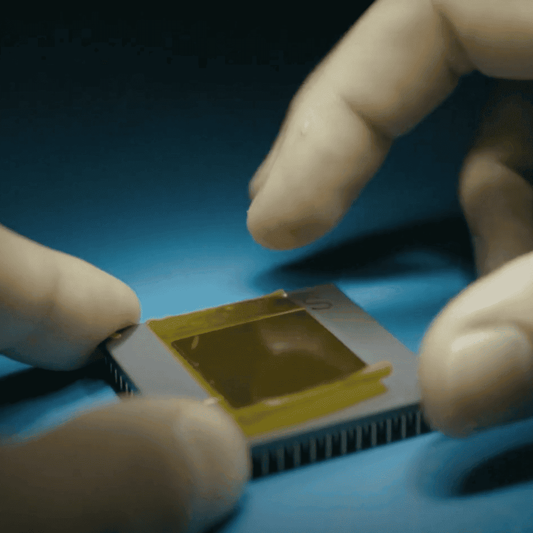 MISEL: Multispectral Intelligent vision System with Embedded Low-power neural computing