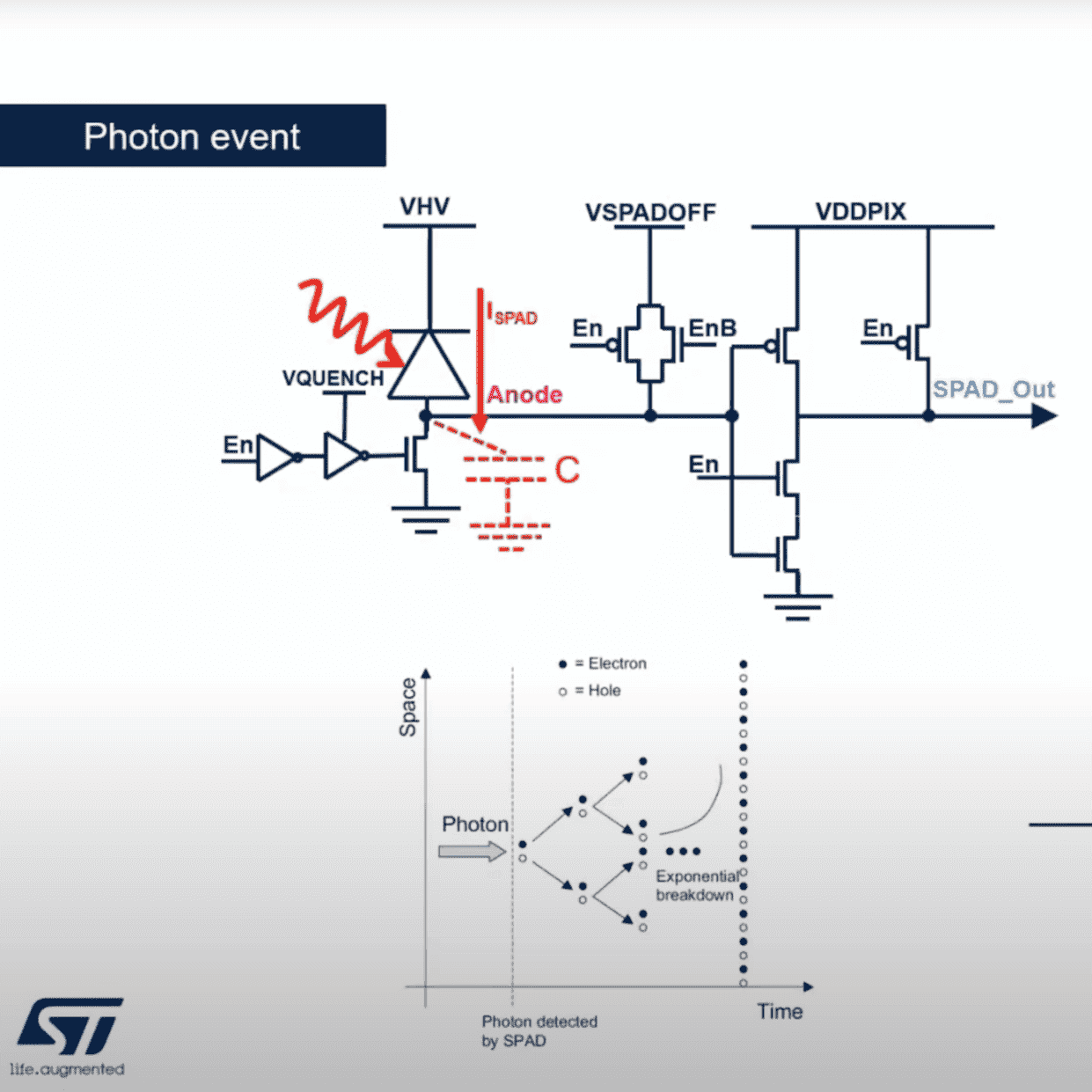 Prestigious Women Researchers Lecture Series: 'Sara Pellegrini'