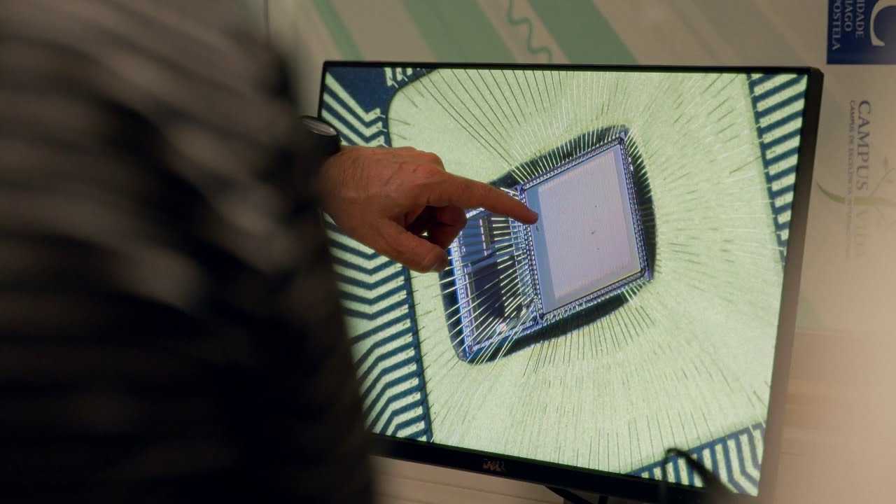 Discover the eighth edition of Ciencia Singular!